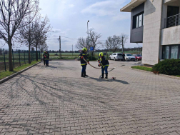 alaptanfolyam Marcaliban