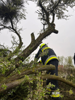Sok munkát adott a hivatásosoknak