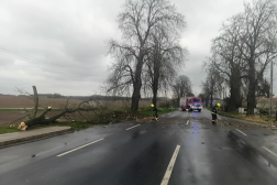 Sok munkát adott a hivatásosoknak