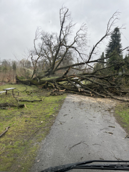 Sok munkát adott a hivatásosoknak