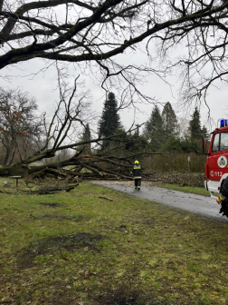 Sok munkát adott a hivatásosoknak
