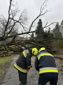 Sok munkát adott a hivatásosoknak