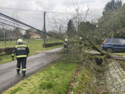 Sok munkát adott a hivatásosoknak
