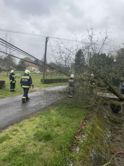Sok munkát adott a hivatásosoknak