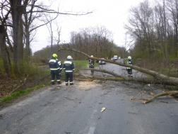 Sok munkát adott a hivatásosoknak