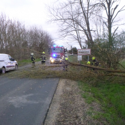 Sok munkát adott a hivatásosoknak