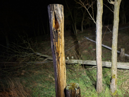 önkéntes egységek is hadra fogva