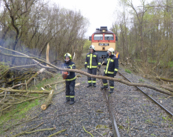 Sínekre dőltek fák