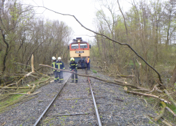 még akad favágás Somogybna