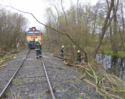 Tehervonat útját akadályozták a kidőlt fák