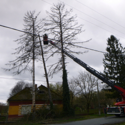 Magasból mentővel távolították el