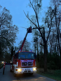 Faágakat daraboltak le