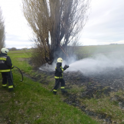 lángoló aljnöényzetet olt a tűzoltó