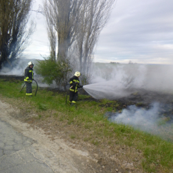 két fa is érintett a tűzben