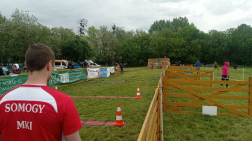 Cross run