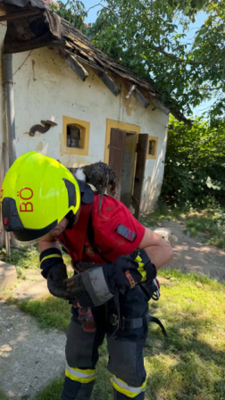 Kútból mentettek macskát