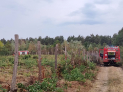 35 tűzoltó dolgozott a helyszínen