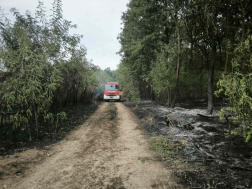 35 tűzoltó dolgozott a helyszínen