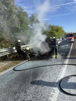 Az eset során senki sem sérült meg