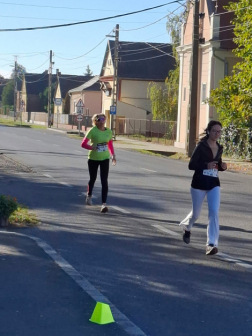 2026 rókaűzők