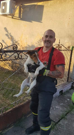 tűzoltó a kezébe tartja a megmentett kutyát