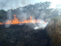 mezőgazdasági terület ég nagy lángokkal