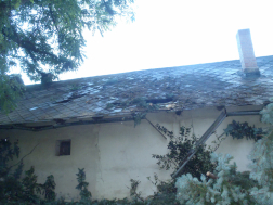 megrongálta a tetőt a kidőlt fa