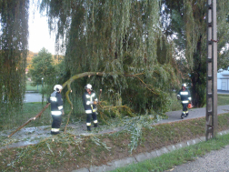 tűzoltók avatkoznak be a kidőlt fa eltávolításánál