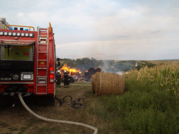 Kapoly bálatűz